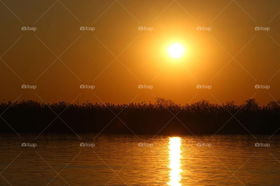 Sunset, Dawn, Sun, Water, Evening