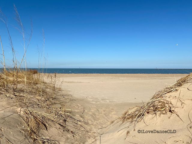 Lake Michigan Shore in Chicago 