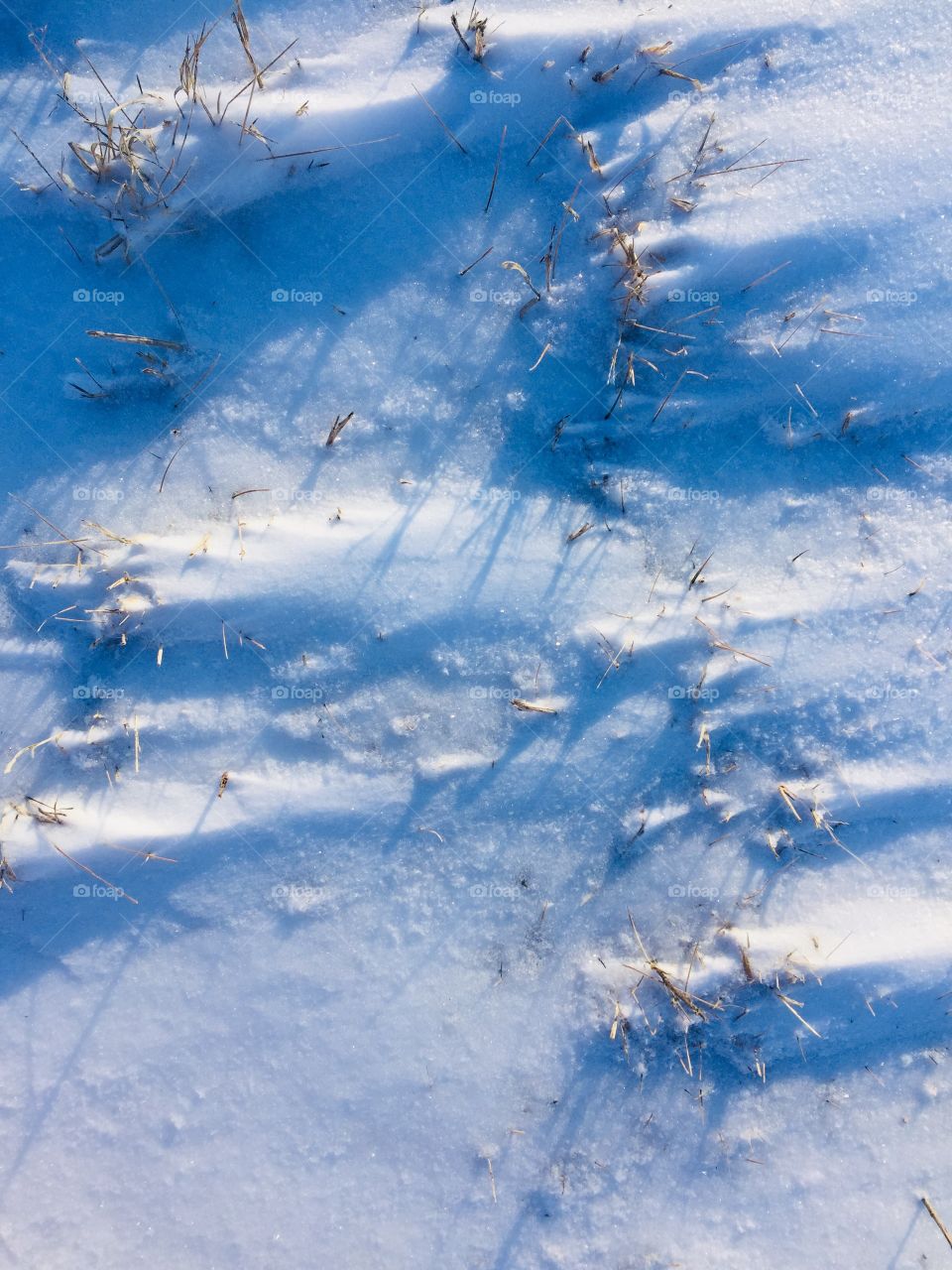 Overhead view of wind-driven snow and blue shadows in a pasture on a sunny day