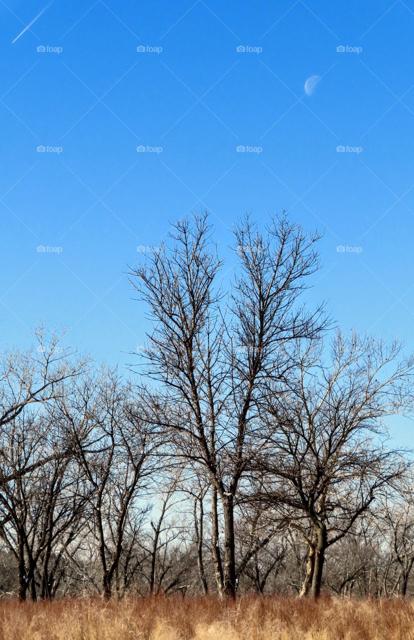 Beautiful streaked blue sky, with daytime moon. "Magic Is Real".