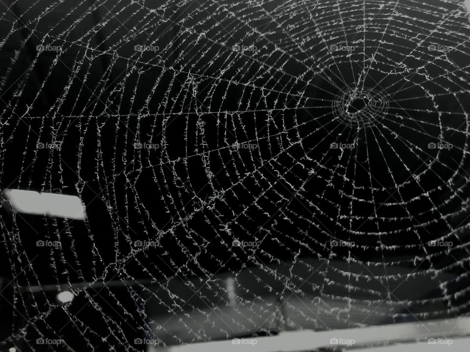 Night mirror spider net in the wall.