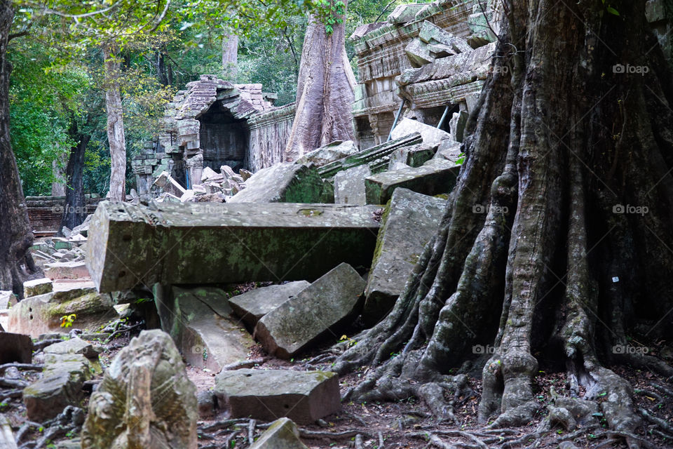 ruins of ta phrom temple siem reap cambodia