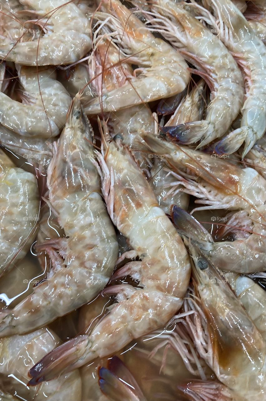 🇺🇸 Delicious and fresh shrimp, fished in Santos.  Who doesn't like a good shrimp? / 🇧🇷 Camarões deliciosos e frescos, pescados em Santos. Quem não gosta de um bom camarão?