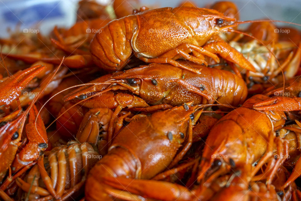 Boiled crayfish