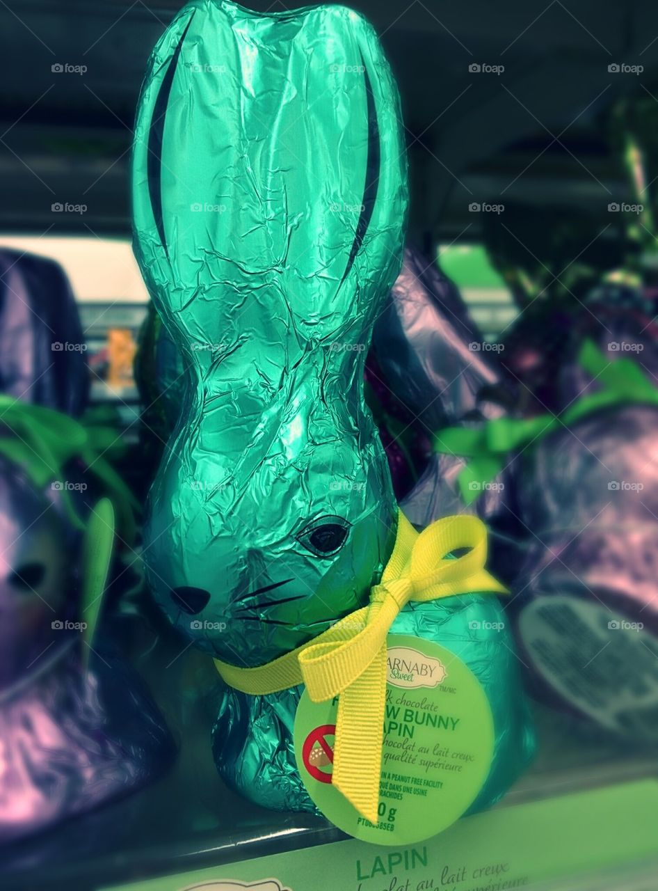 Easter bunny