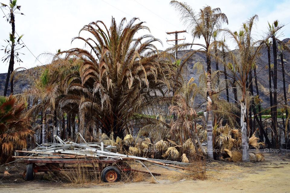 Abandoned trailer, Ventura, California