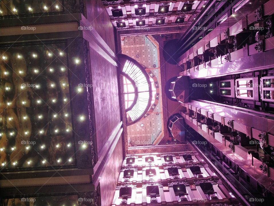 Purple Elevators To The Top