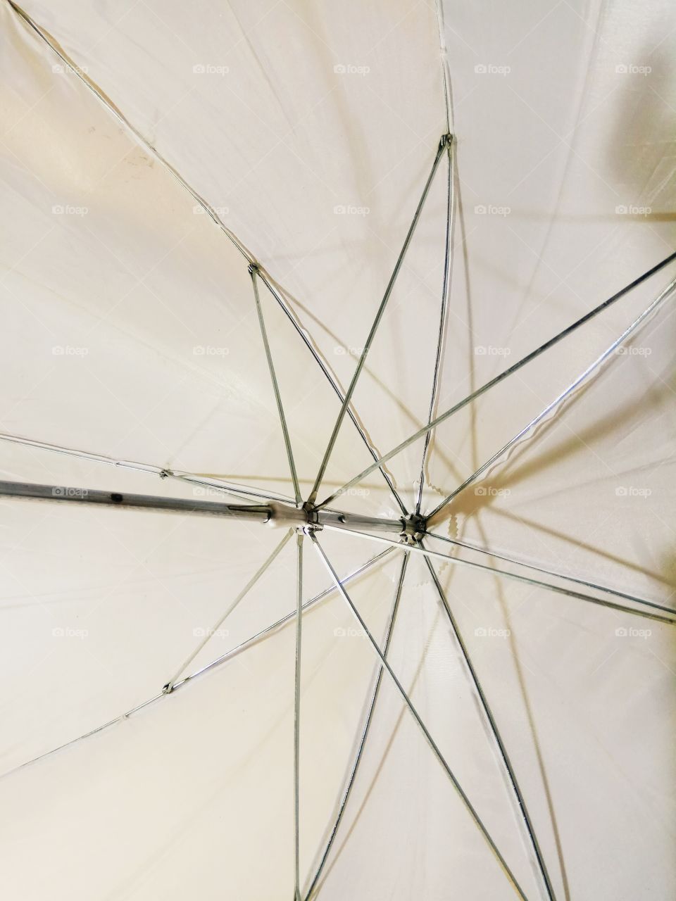 Photos focus umbrella