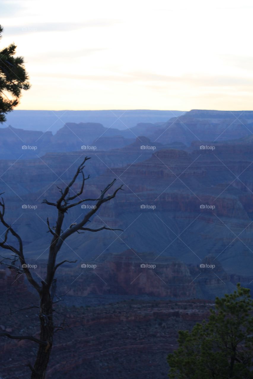 view over the grand canyon at dusk