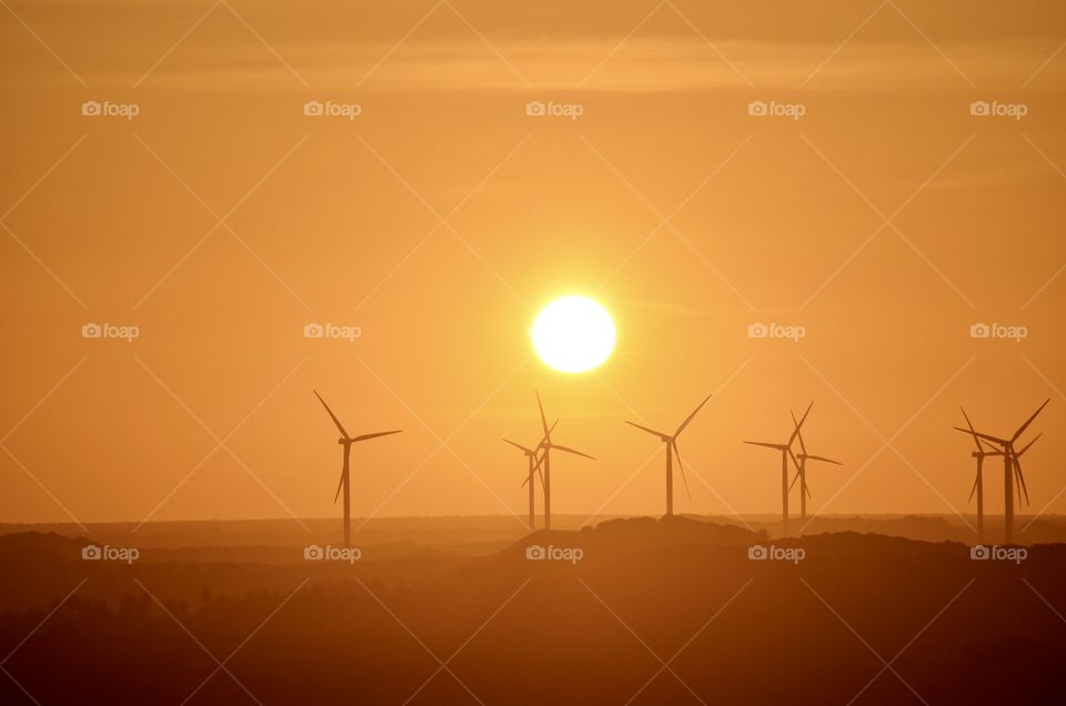 Golden hour with wind turbines