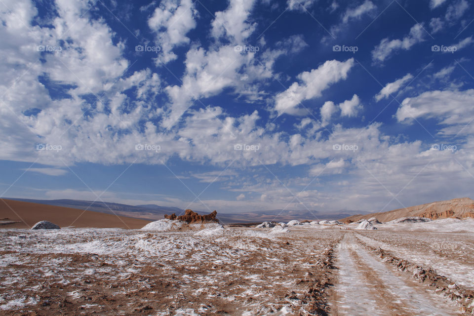 Road in the desert.