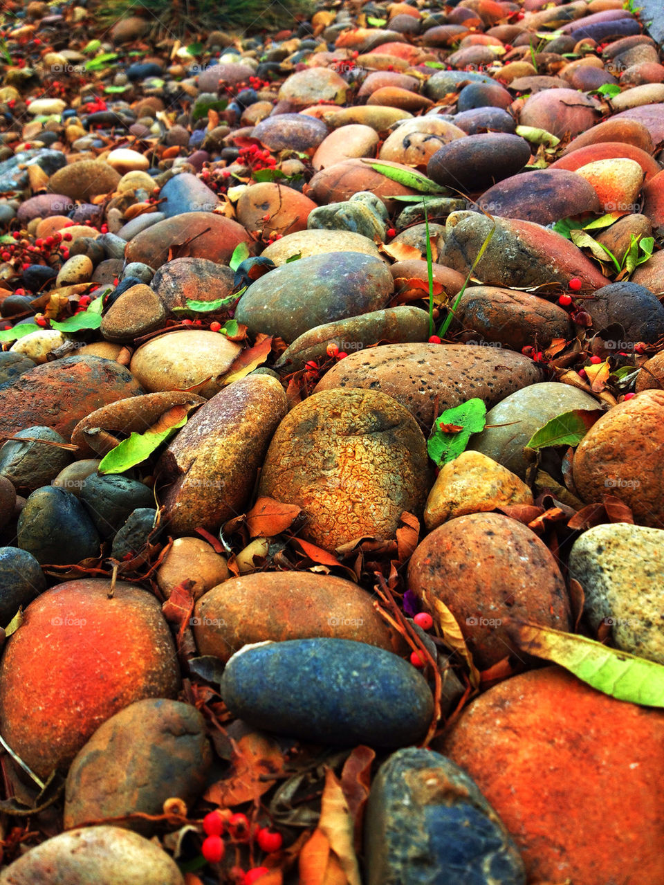 nature summer colors stones by analia