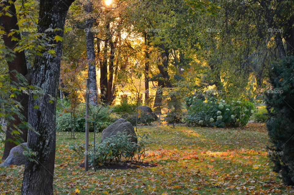 beautiful autumn evening in Kadriorg park