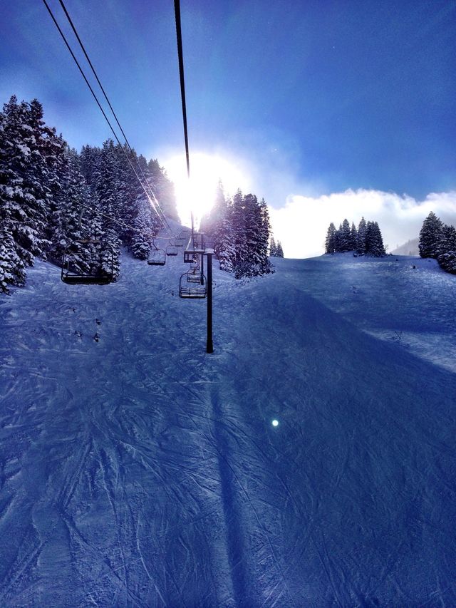 Winter Wonderland