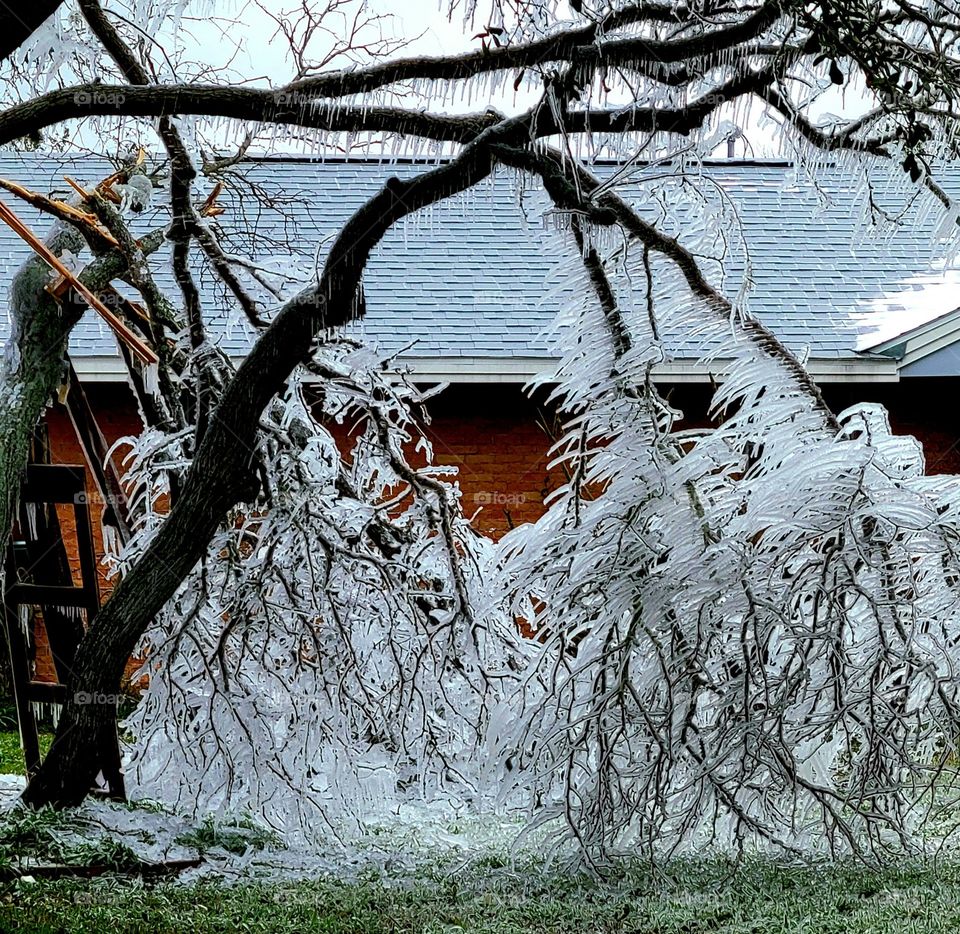 Ice storm 2021, Corpus Christi, Texas.