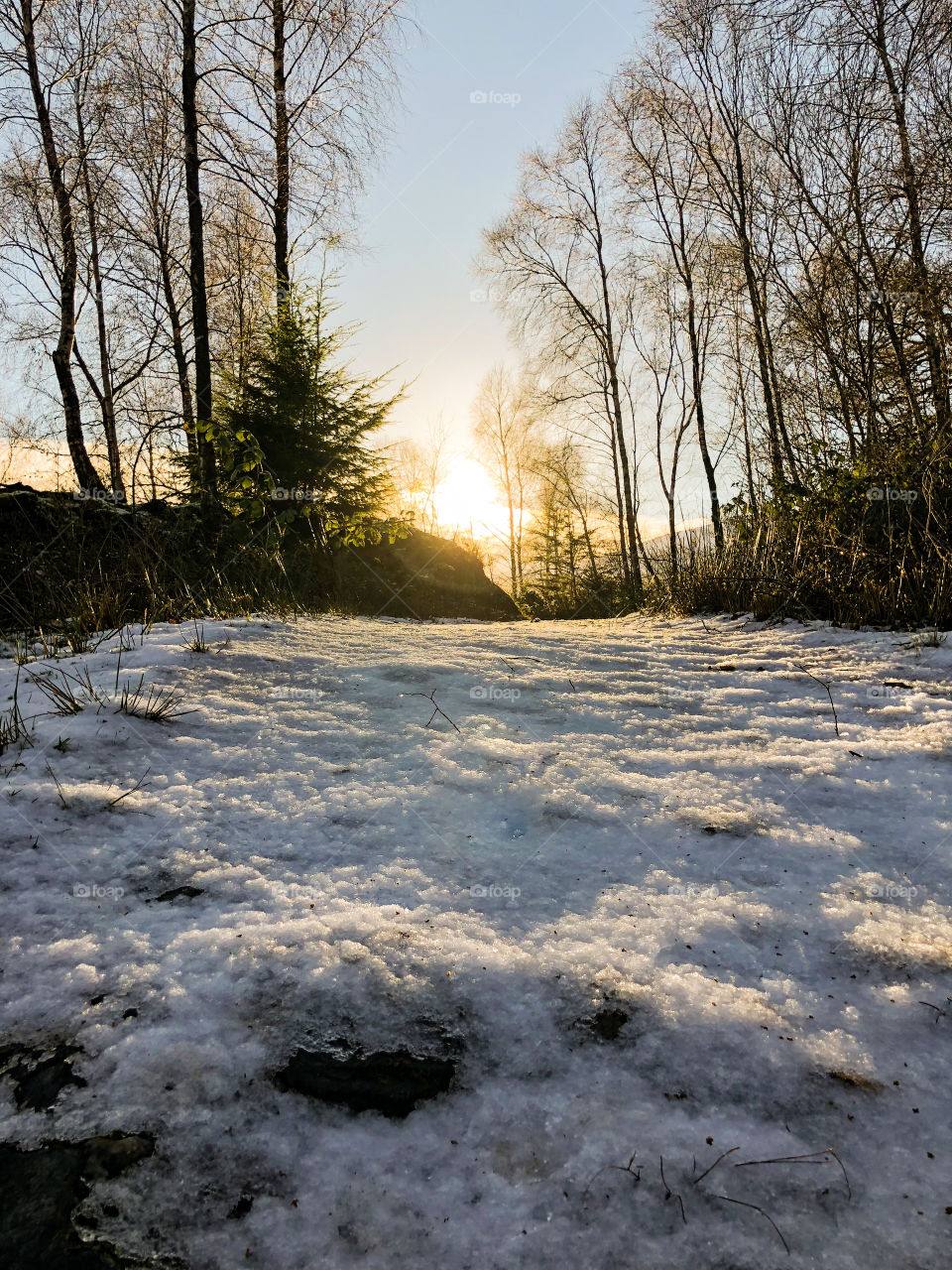 Snowy path