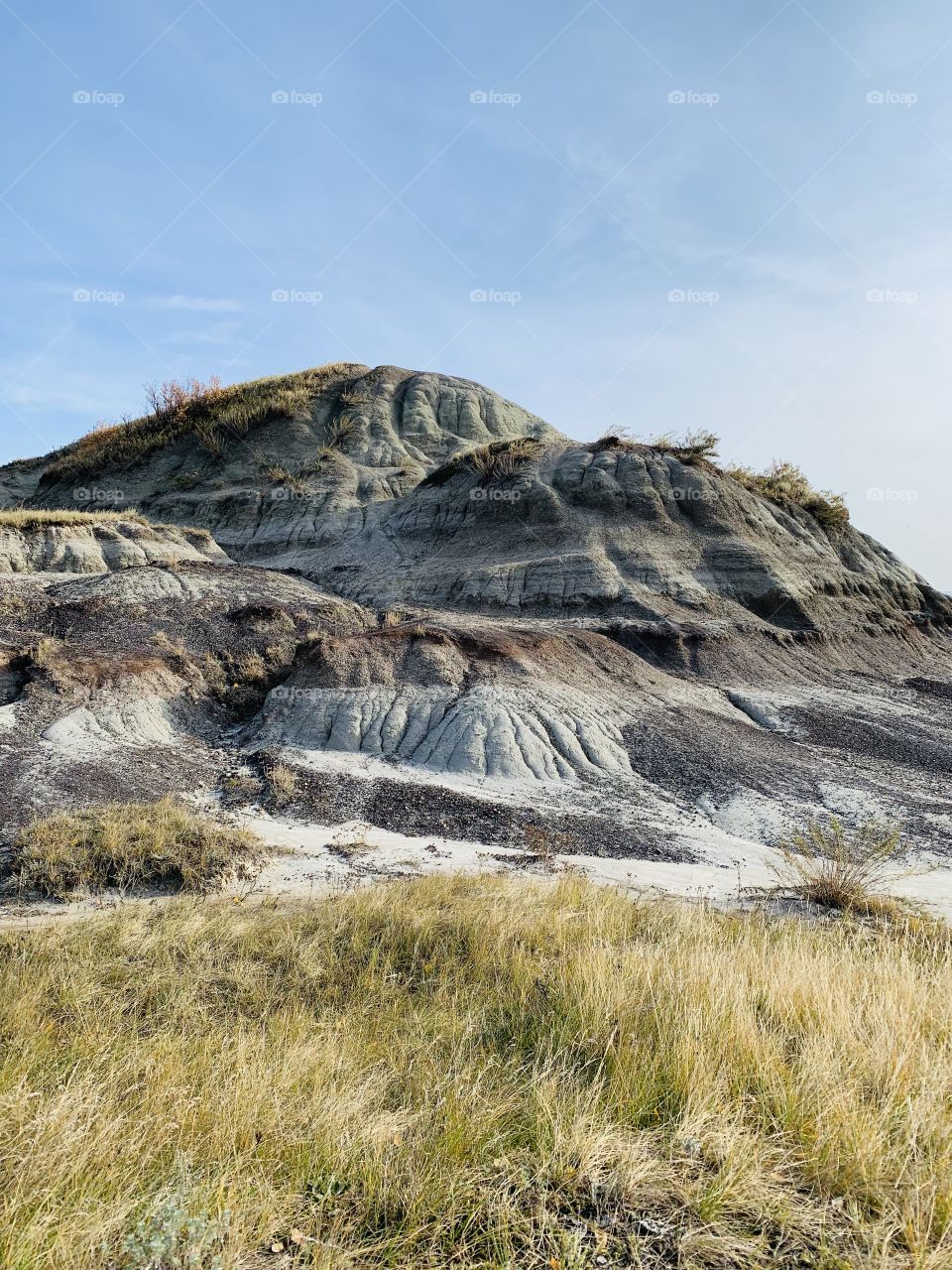 The hills of Alberta 