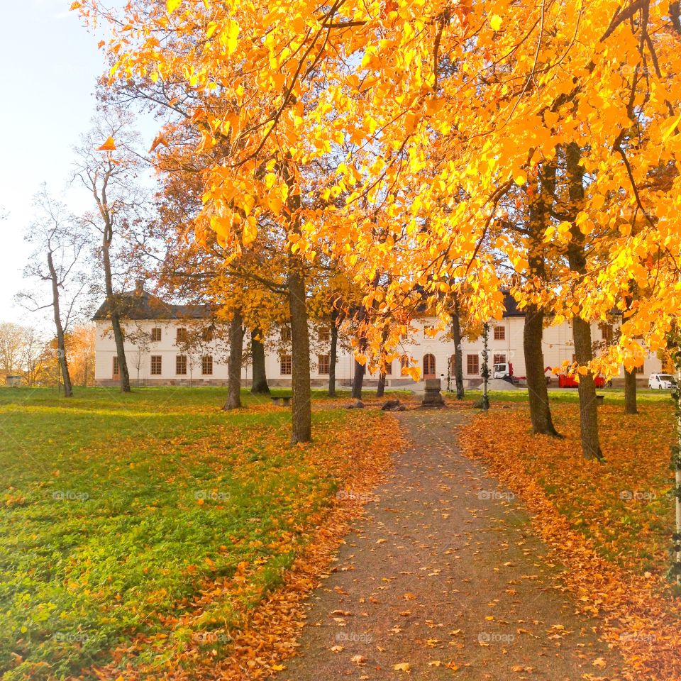 svartsjö castle autumn