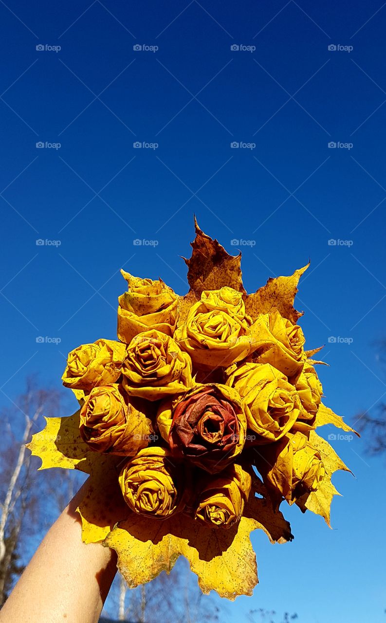 roses made of leafs