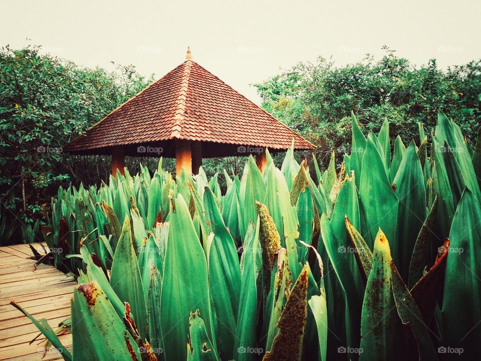 Baddagana water park