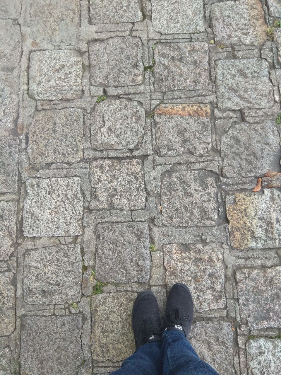 Do you walk home?

#sidewalk #shoes #ground #outdoors #city #home #walk #gray #black