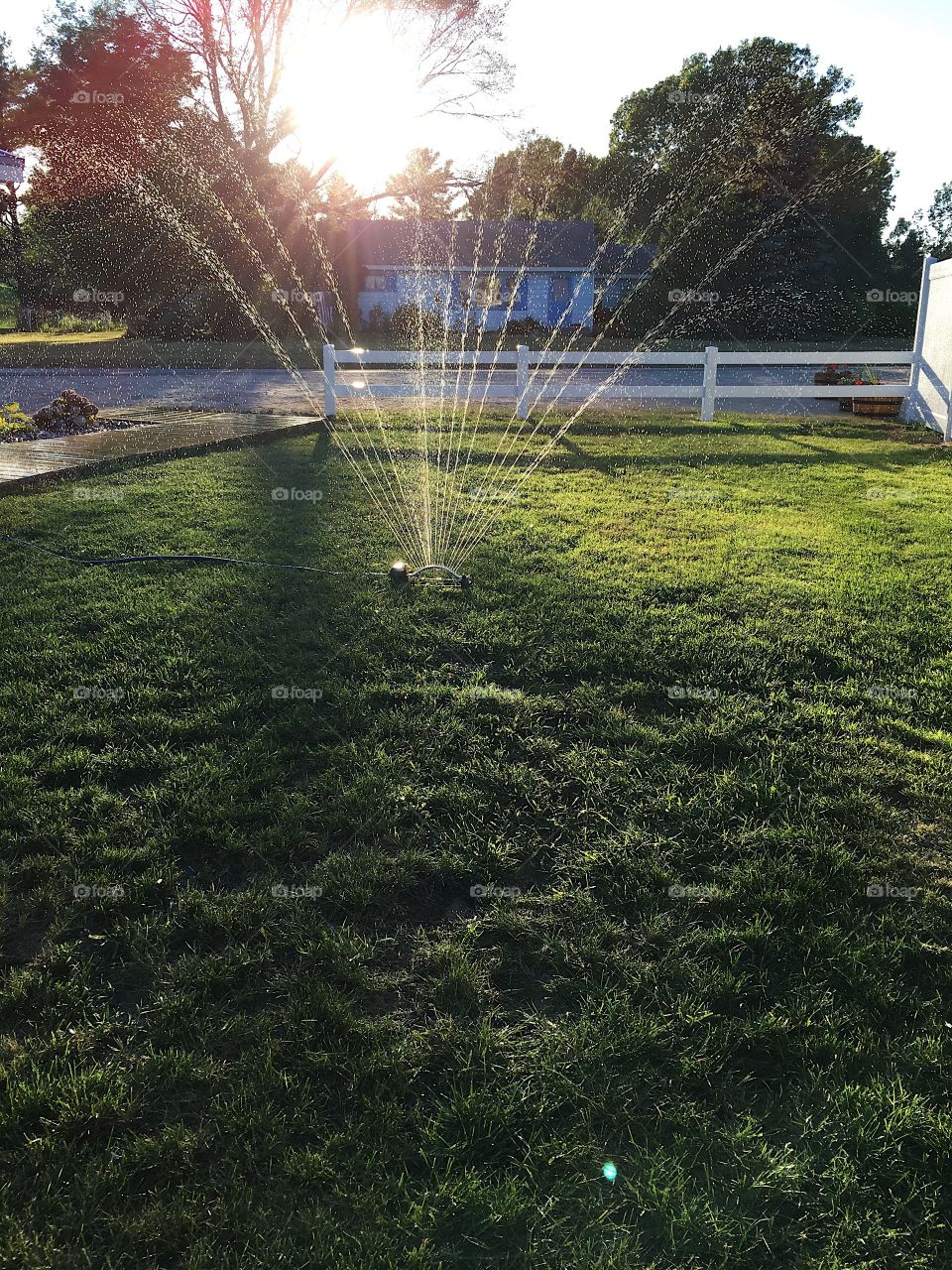 Sprinkler in the summer 