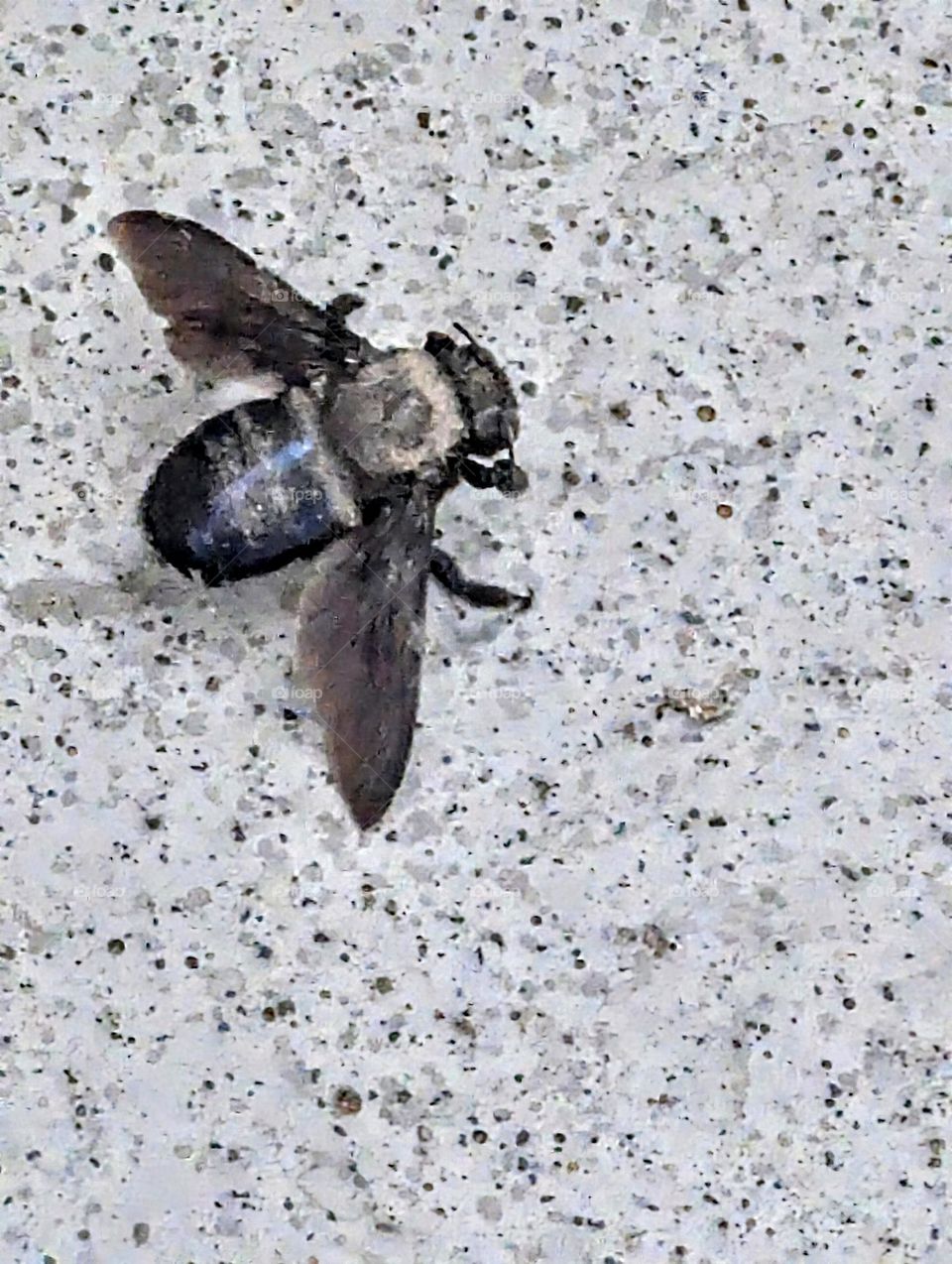 Landing Just touching down, Just beeing me Las Vegas, Nevada