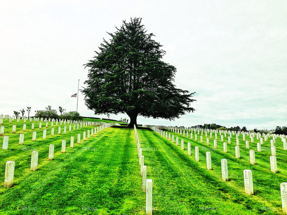 American flag flying at half mast at a military veterans cemetary