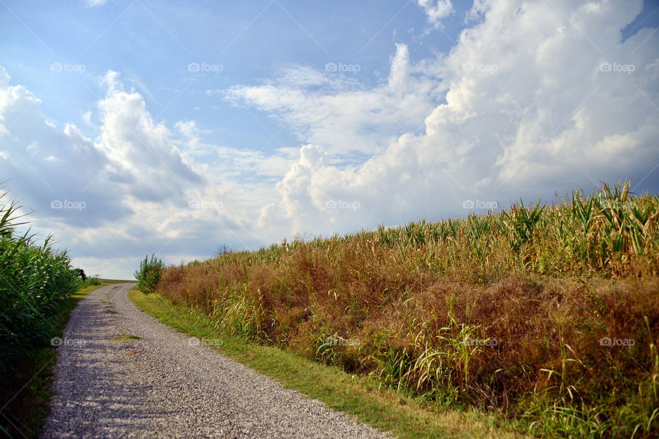 strada di campagna