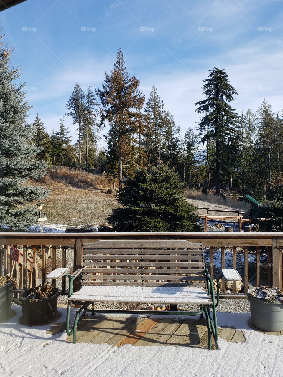 bench on deck with forrest view