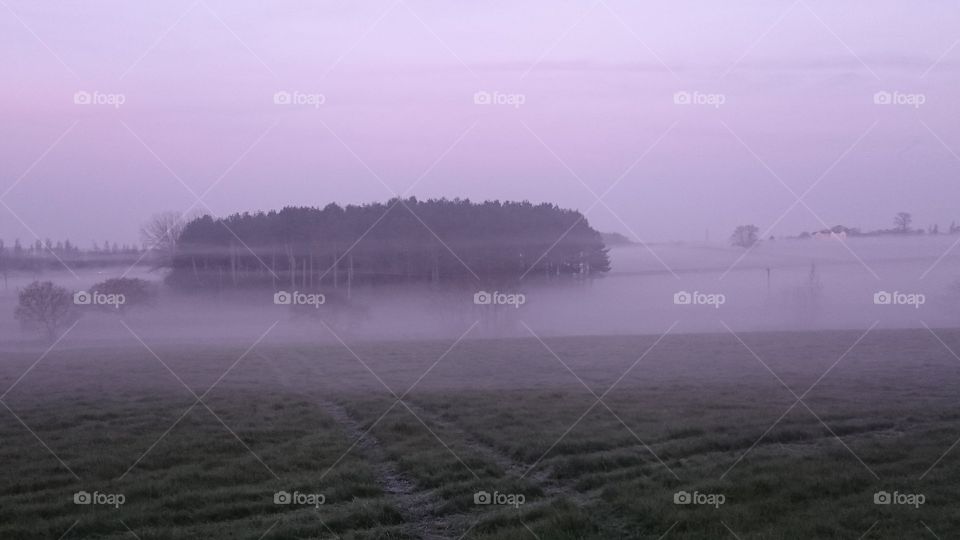 Wood island. Early morning mist
