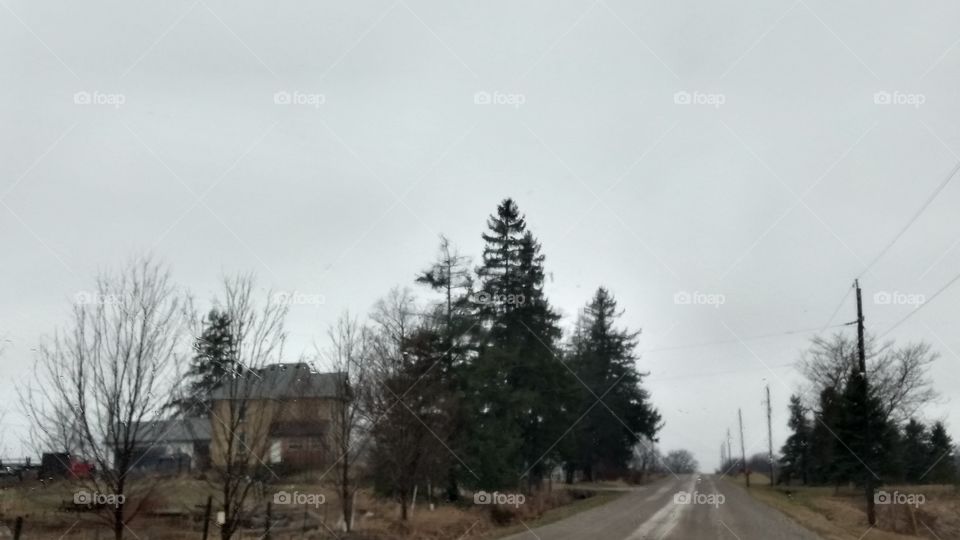 Tree, Landscape, Fog, Winter, Nature