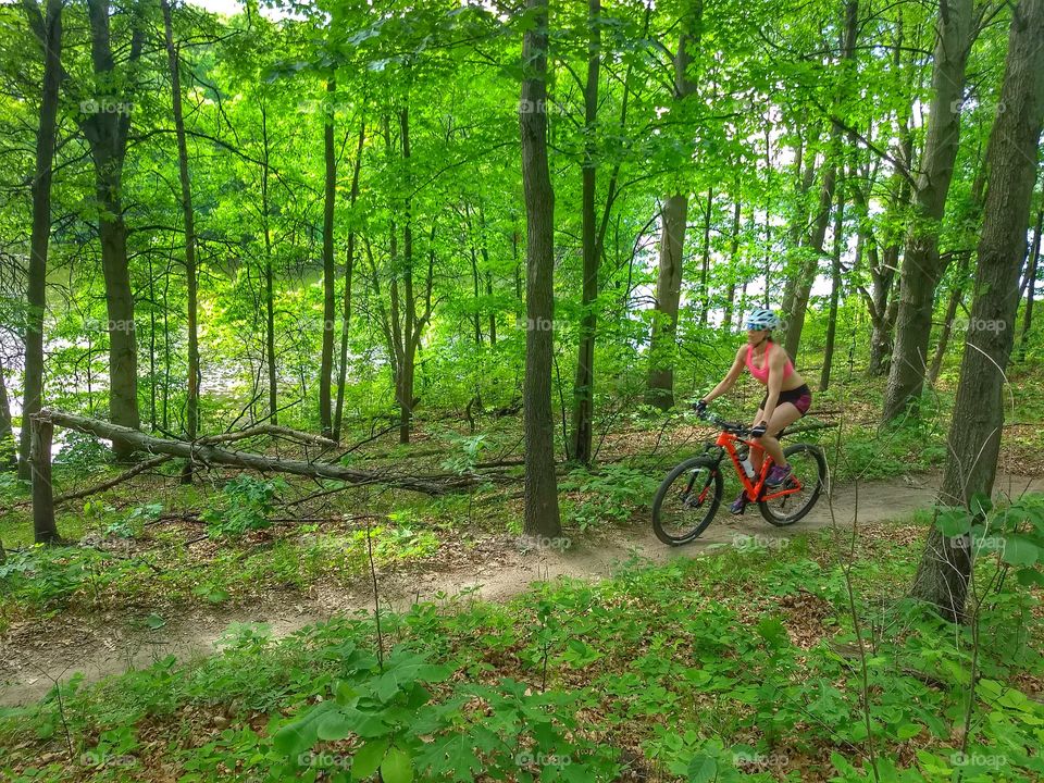 beautiful forest ride woman on mountain bike