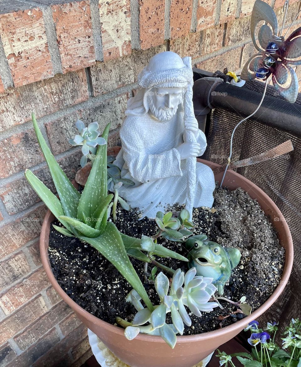 Beauty and protection 