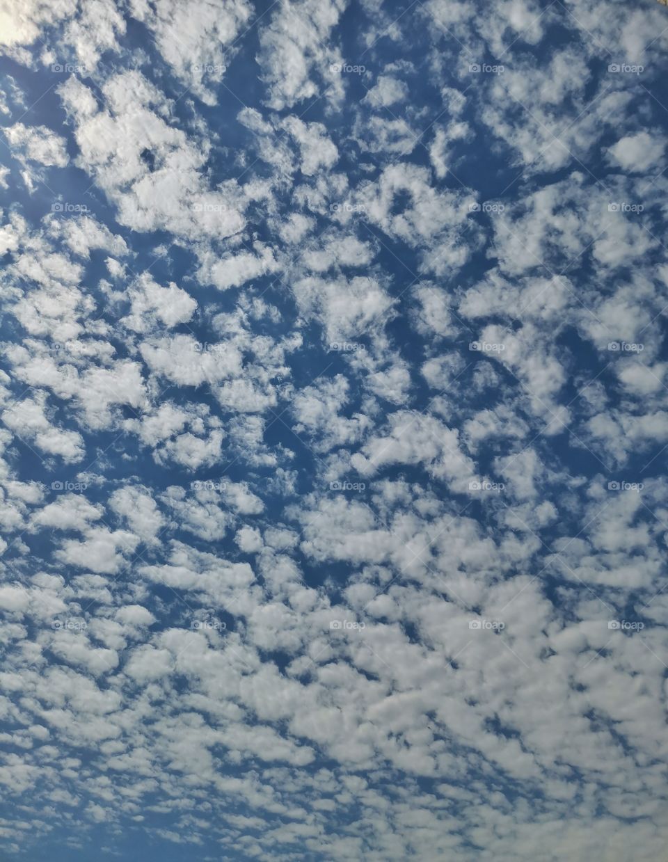 Did you know that this arrangement of clouds is called altocumulus ✨☁️