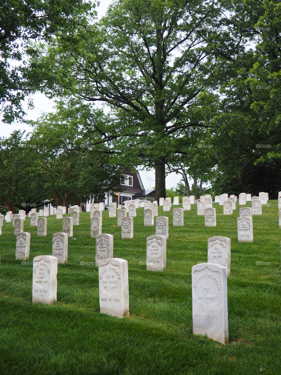 Washington Memorial Cemetery soldier deceased 