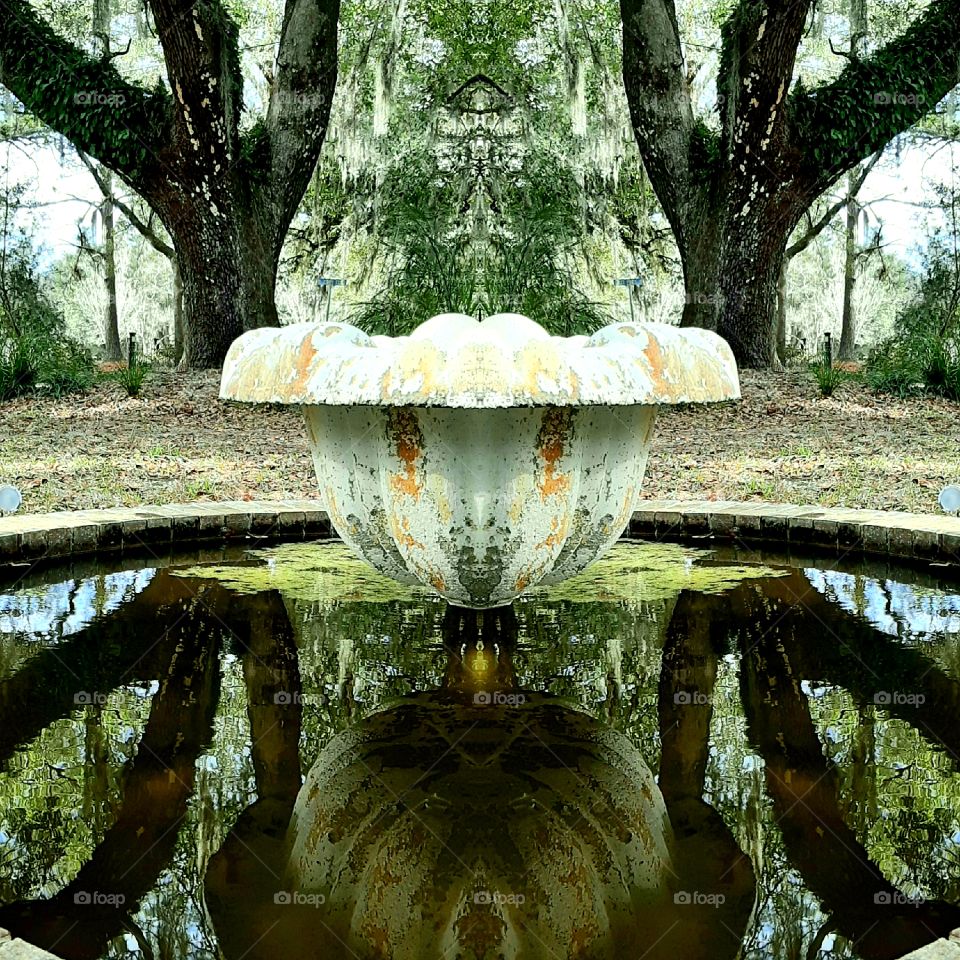 mirror image in reflecting pool