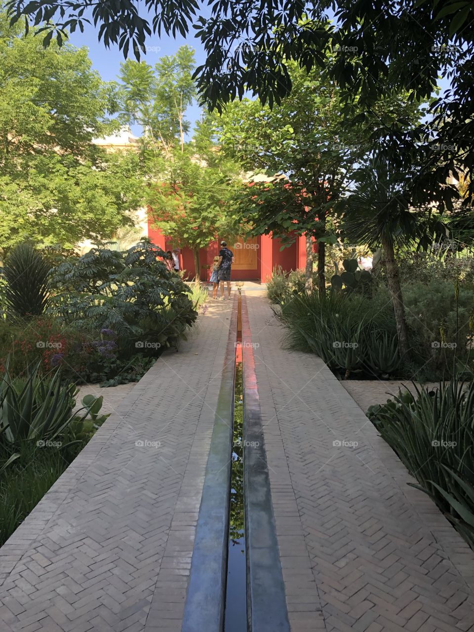 One of Marrakesh’ many spectacular secret gardens 