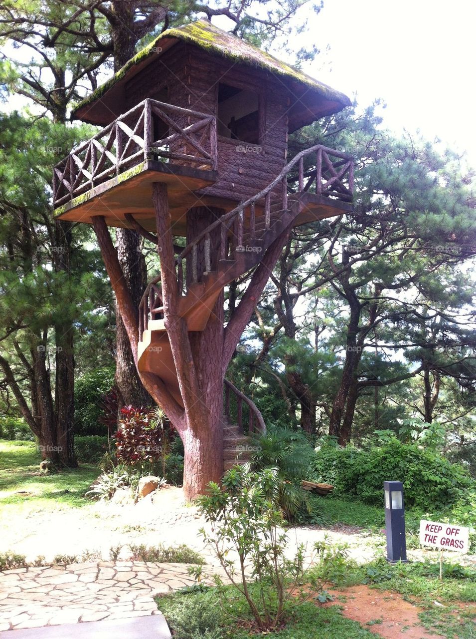 Tree house