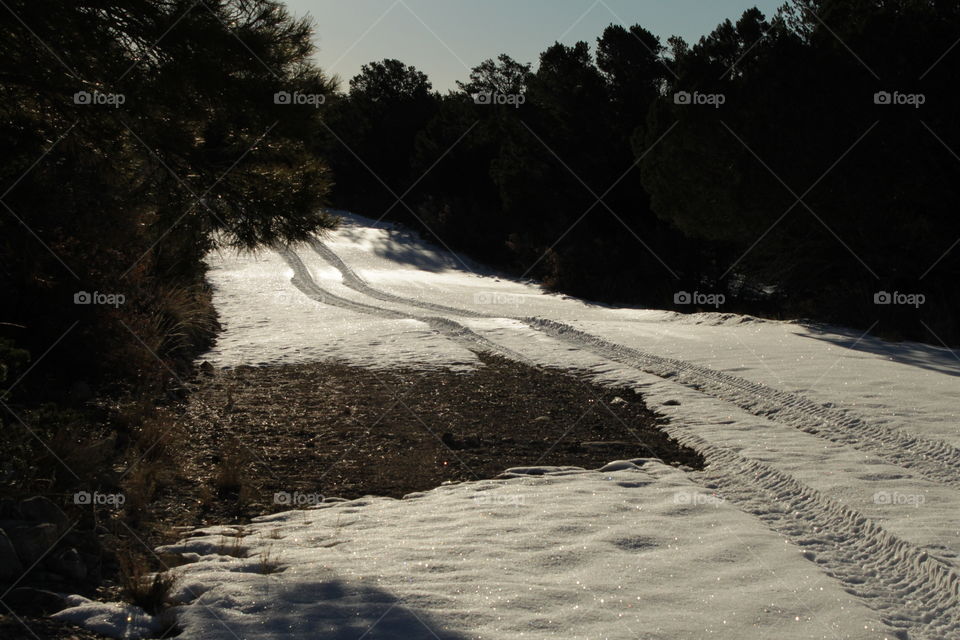 Tracks on snowy road