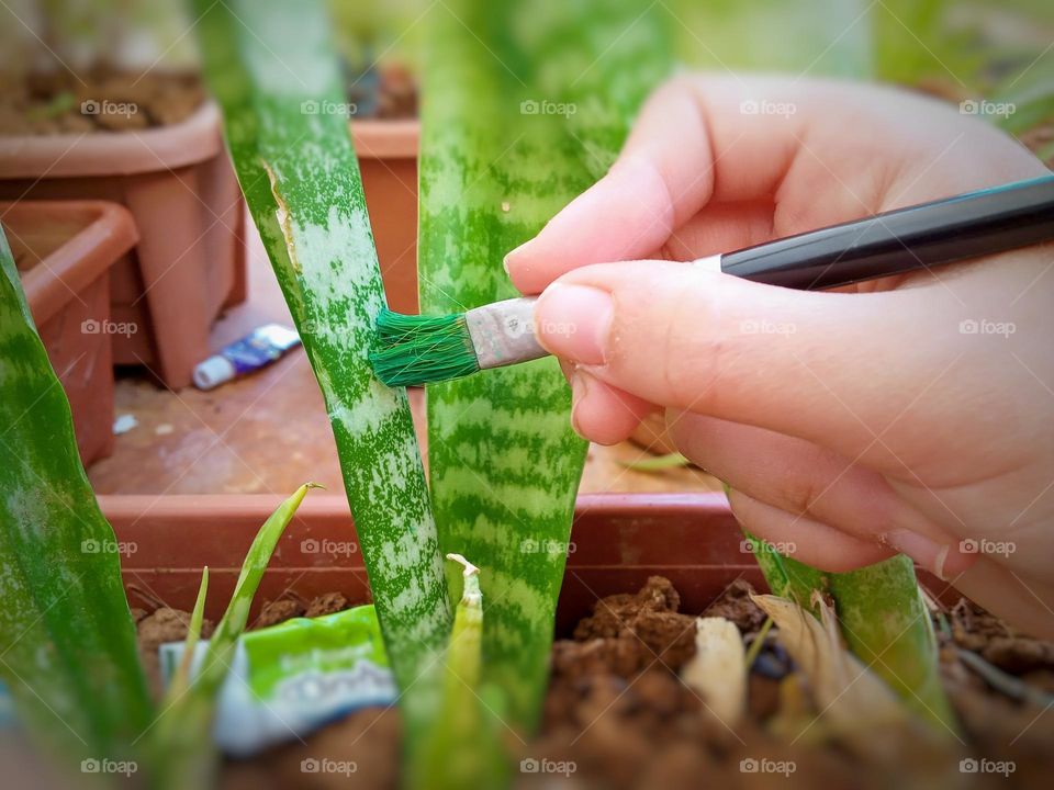 little girl hand drawing on a green plant