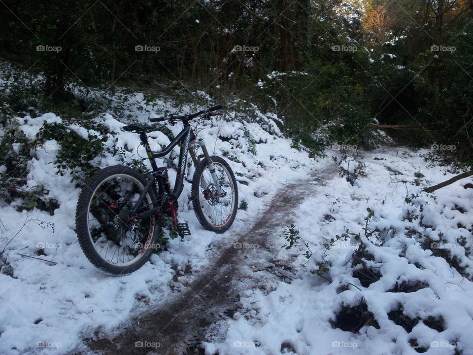 bikes aren't just for summer