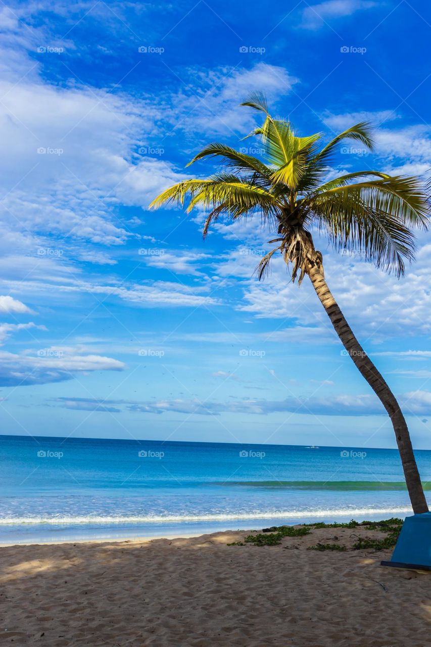 Summer getaway to the tropical paradise Sri Lanka. Chilling in the warm sunny beaches with clean water and golden sandy beach with perfect scenery.