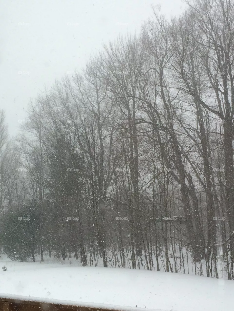 Snow