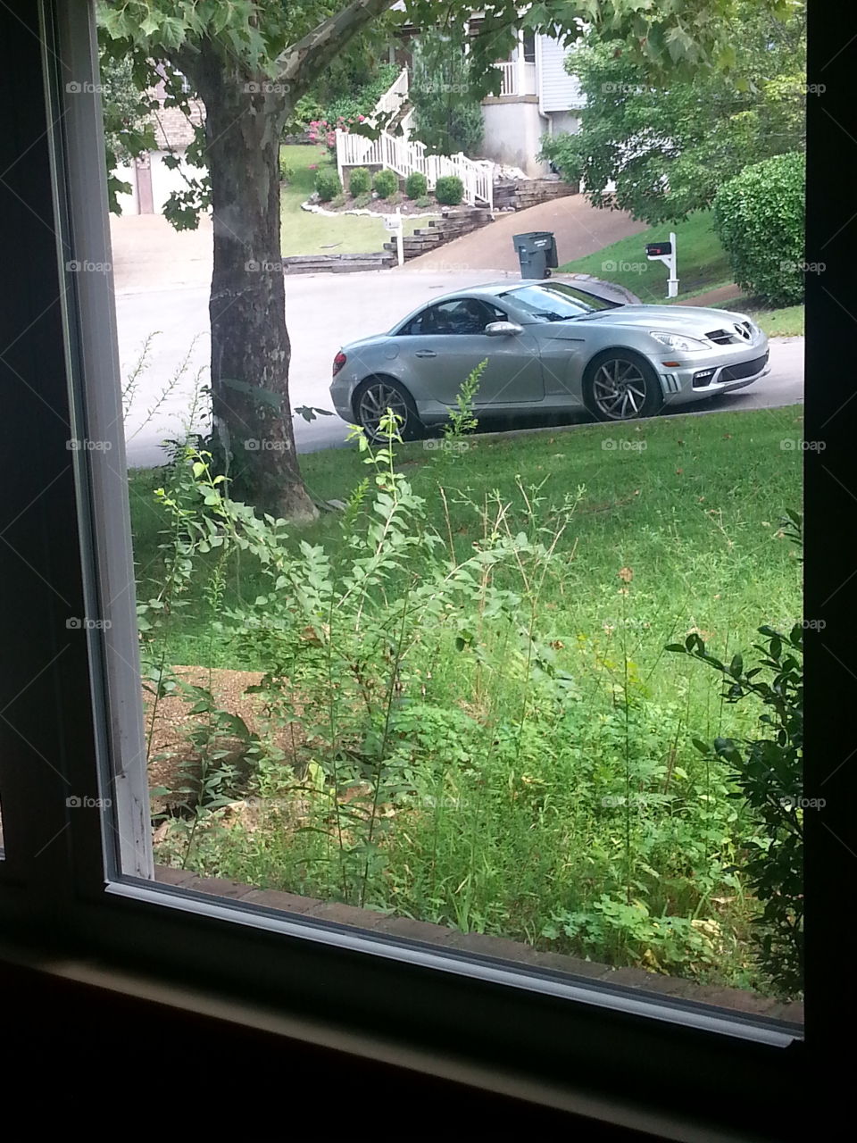 Window, No Person, Tree, Outdoors, House