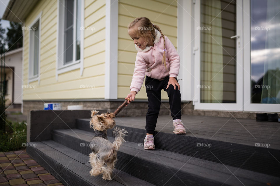 Little Caucasian girl with blonde hair playing with pet