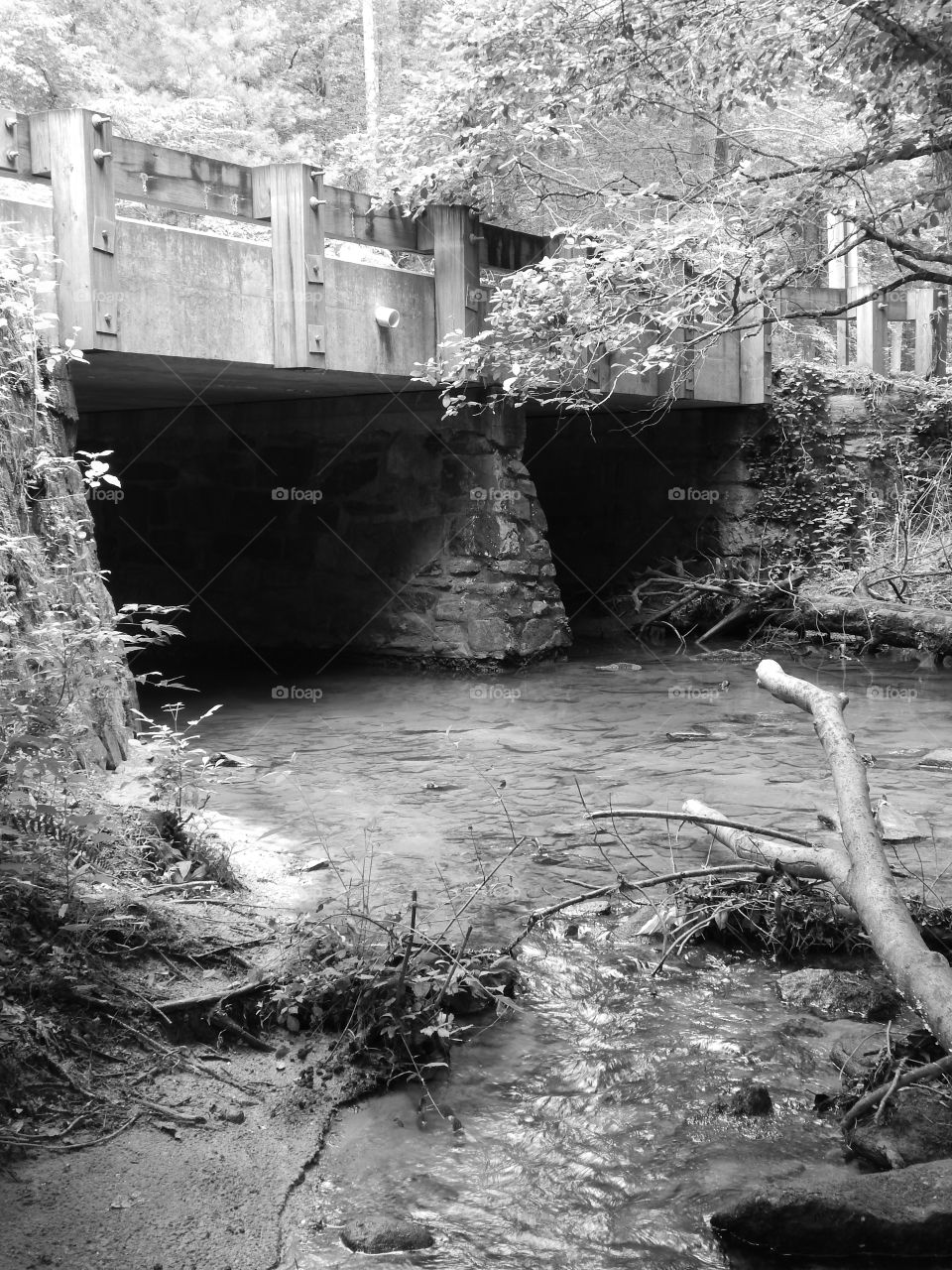 Black and white photo of a small bridge over a Georgia mountain stream