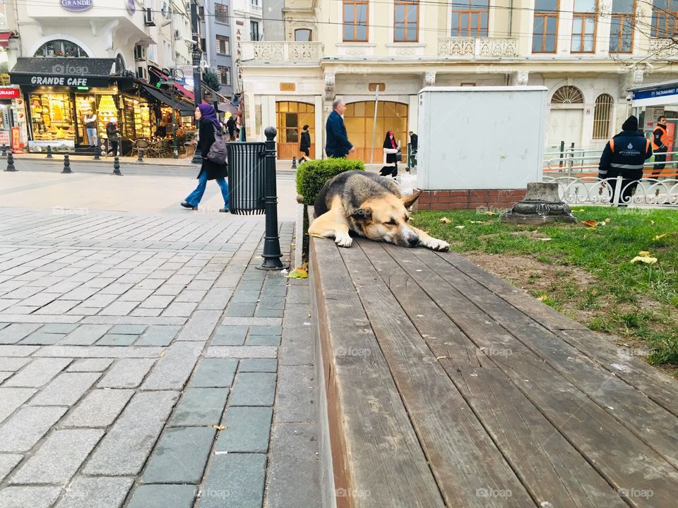 Отдых и пора мечтаний