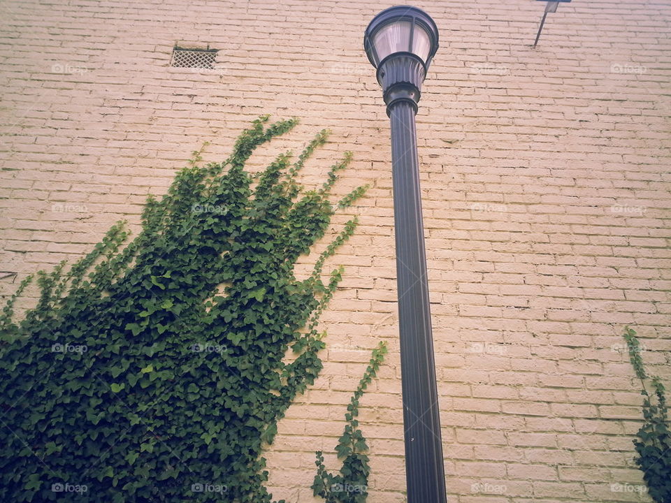 Light pole