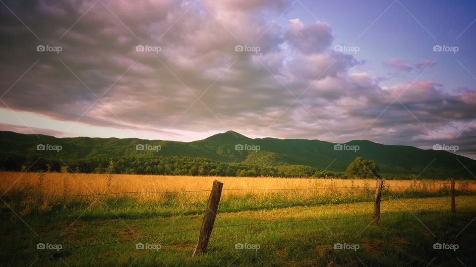 Beautiful scenery with golden color grass backed with mountains and clouds.